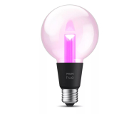 Philips Hue Inteligentna żarówka E27 G95 8719514419155 - 1271541 - zdjęcie 1
